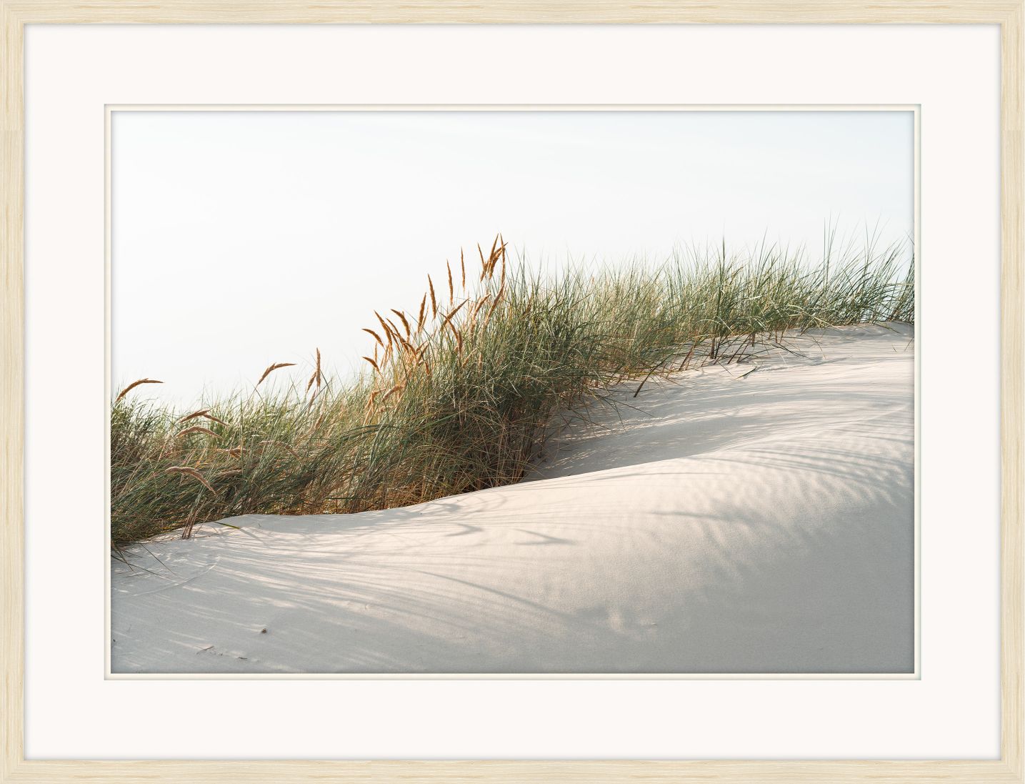 Dune