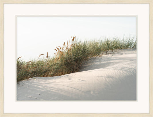 Dune