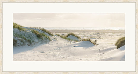 White Sandy Beach
