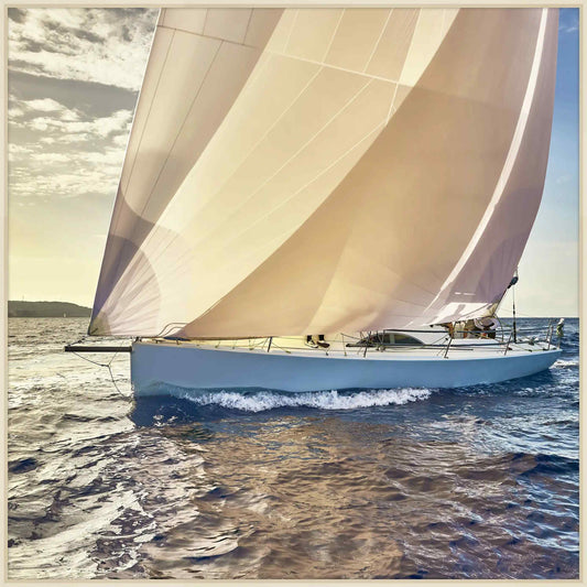 Under Sail At The Regatta