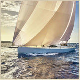 Under Sail At The Regatta