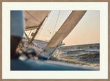 Sailing Regatta I