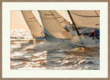 Sailing Regatta Ii