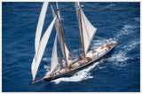 Westerly Winds Grande