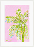 Tall Pink Palm