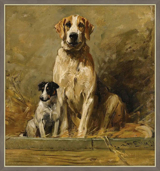 Hound And Terrier In A Kennel