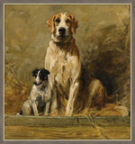 Hound And Terrier In A Kennel