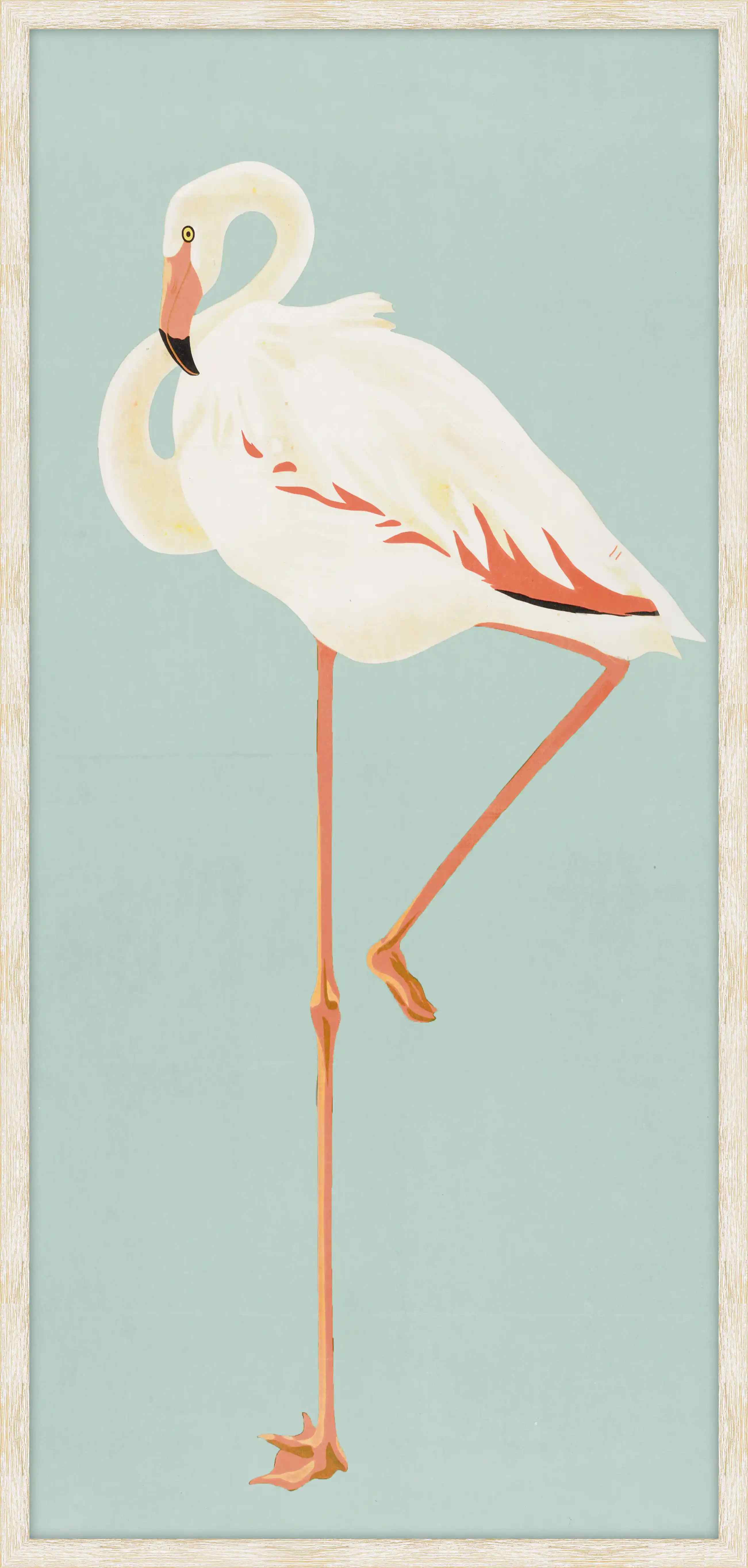 Tsuru Flamingo  I