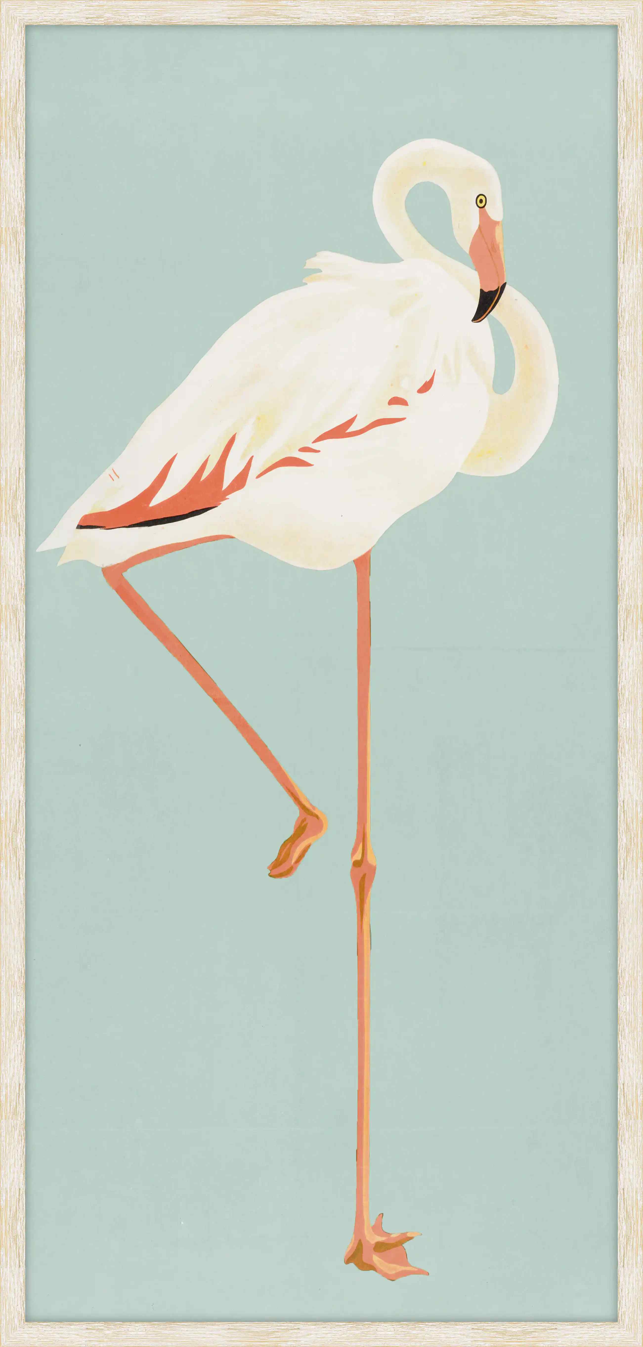Tsuru Flamingo  Ii