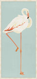 Tsuru Flamingo  Ii
