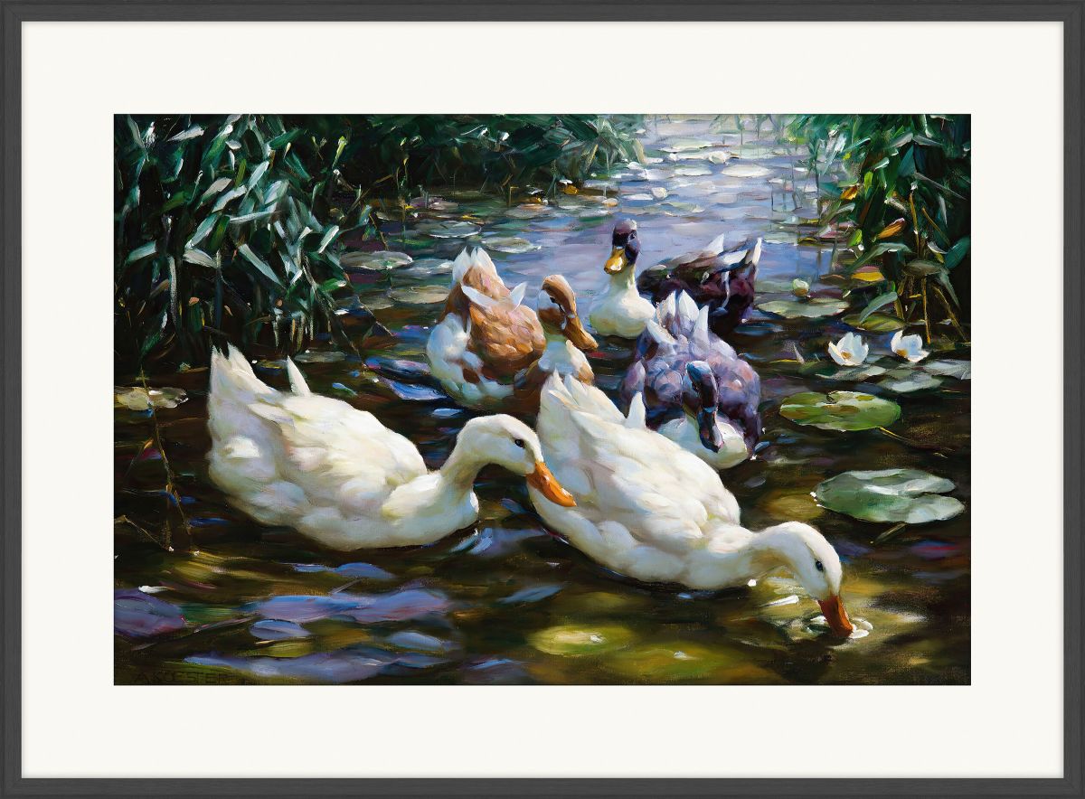 5 Ducks