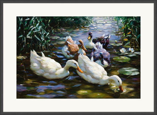 5 Ducks