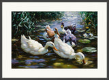 5 Ducks