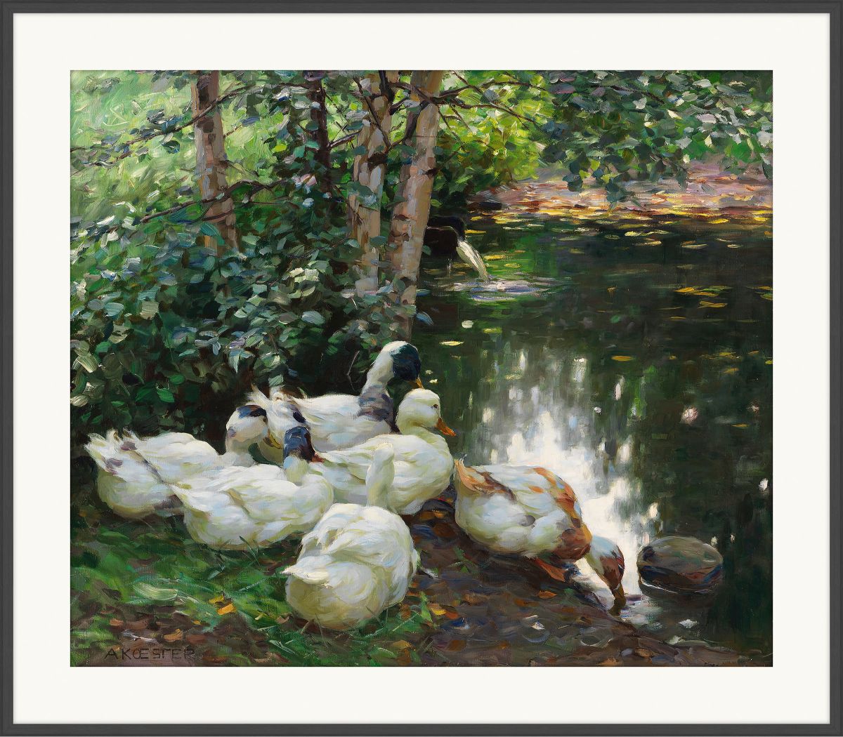 Six Ducks By The Pond