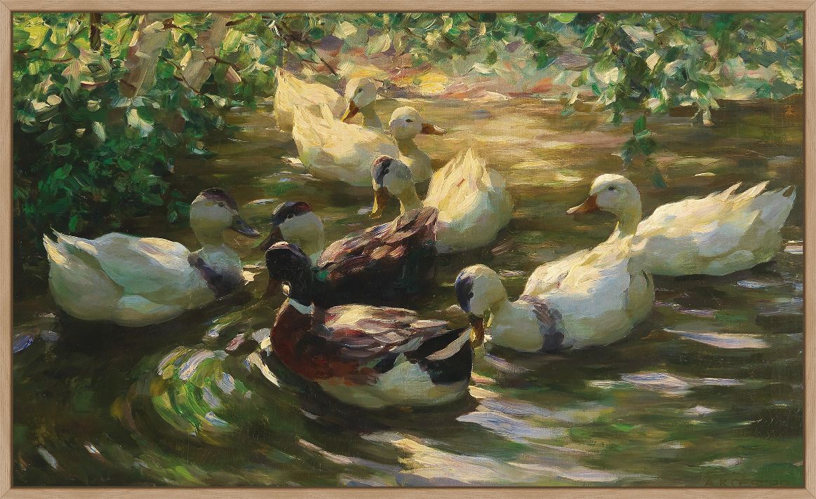 Ducks On A Pond On Canvas