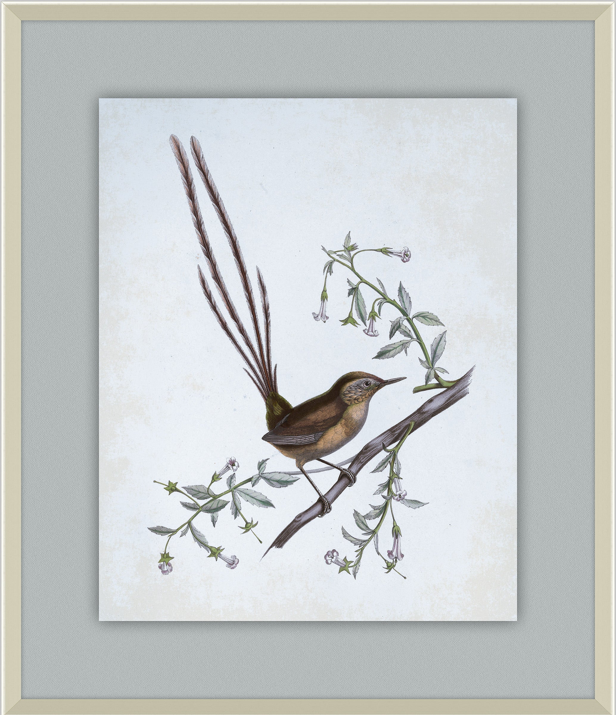 Delicate Birds I