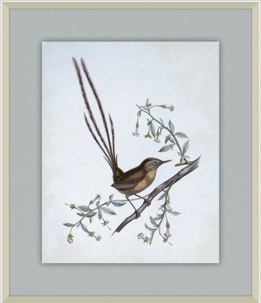 Delicate Birds I