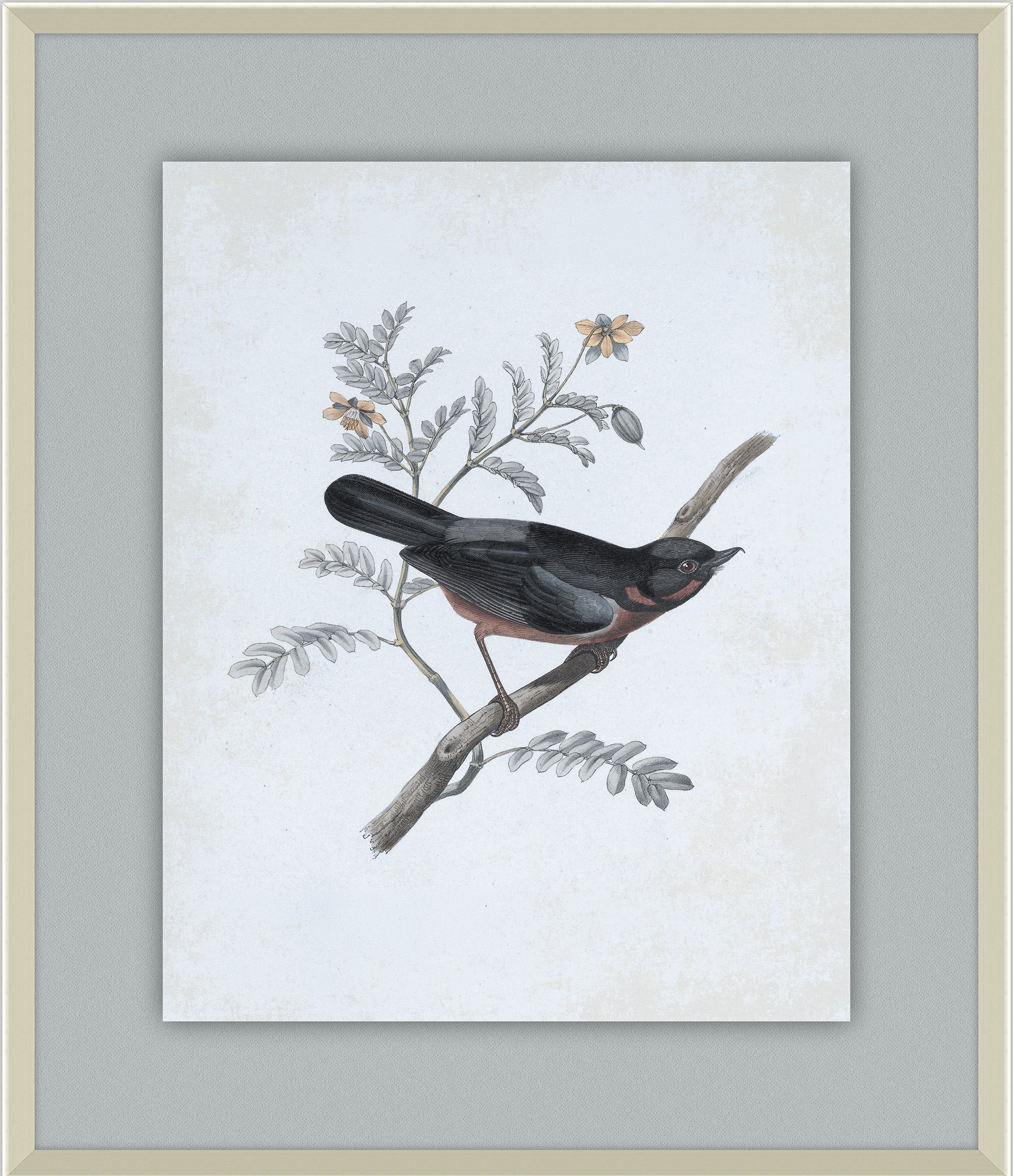 Delicate Birds III