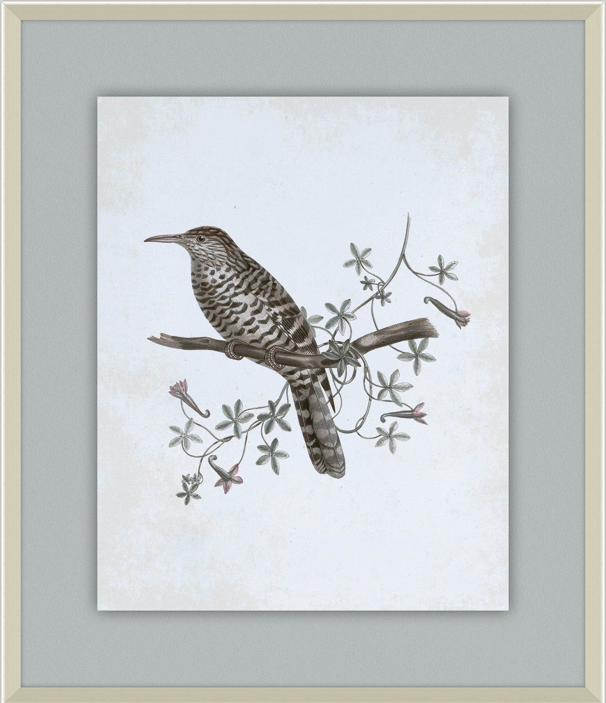 Delicate Birds IV