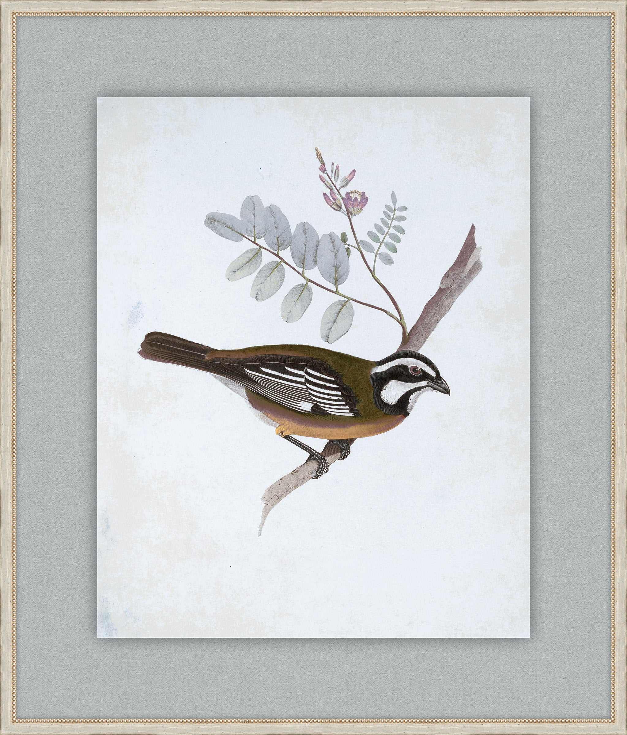 Delicate Birds V