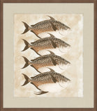 Lake Fish I