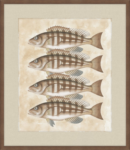 Lake Fish III