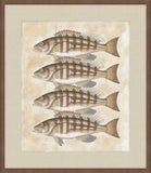 Lake Fish III