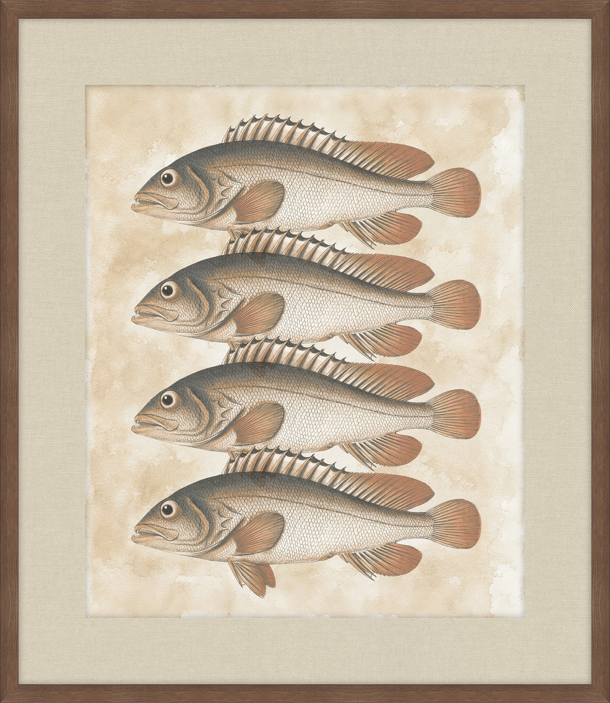 Lake Fish IV