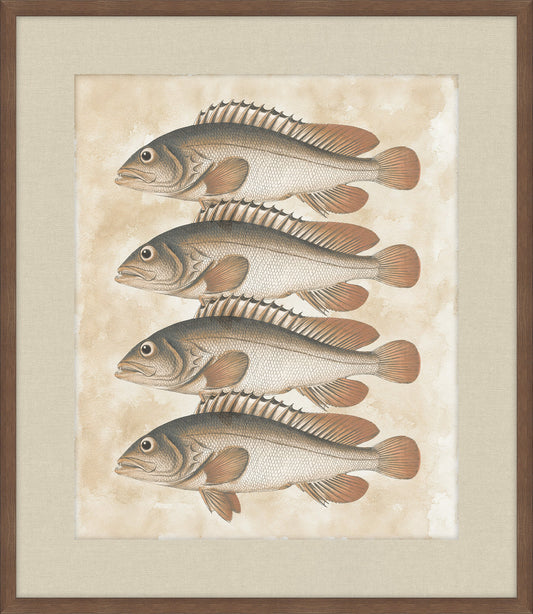 Lake Fish IV