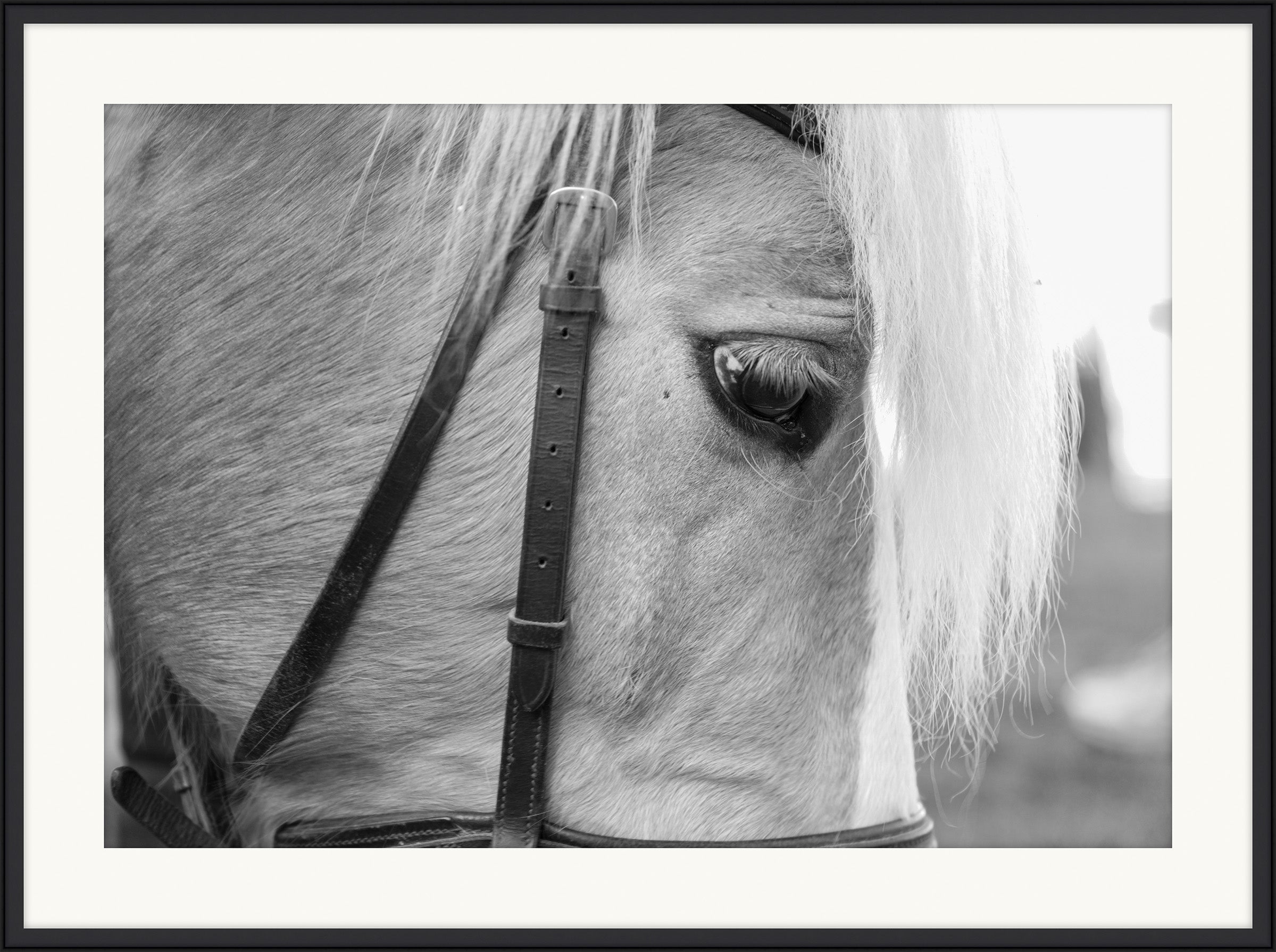 White Mare