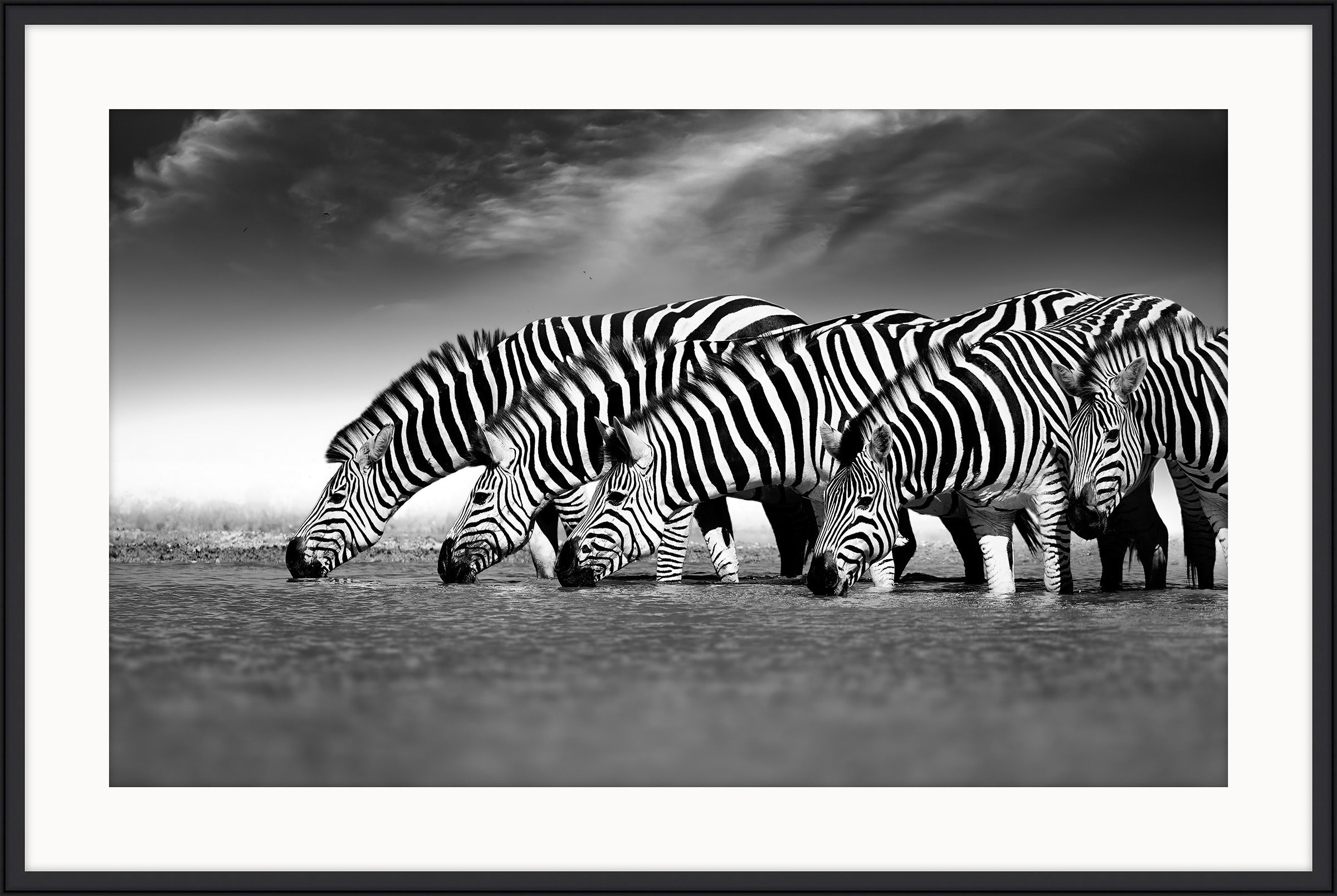 Zebras in a Row