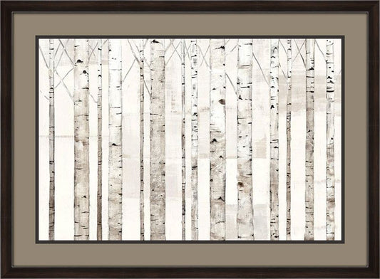 Birch Trees on White