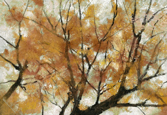 Autumn Boxed Canvas