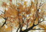 Autumn Boxed Canvas