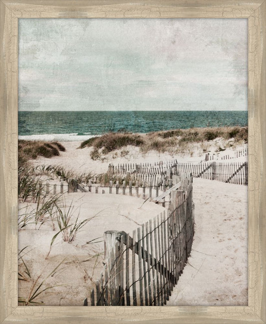 Beach Fences I