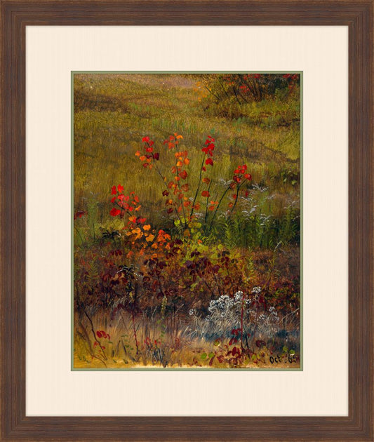 Botanical Studies, Frederic Edwin Church, 1865