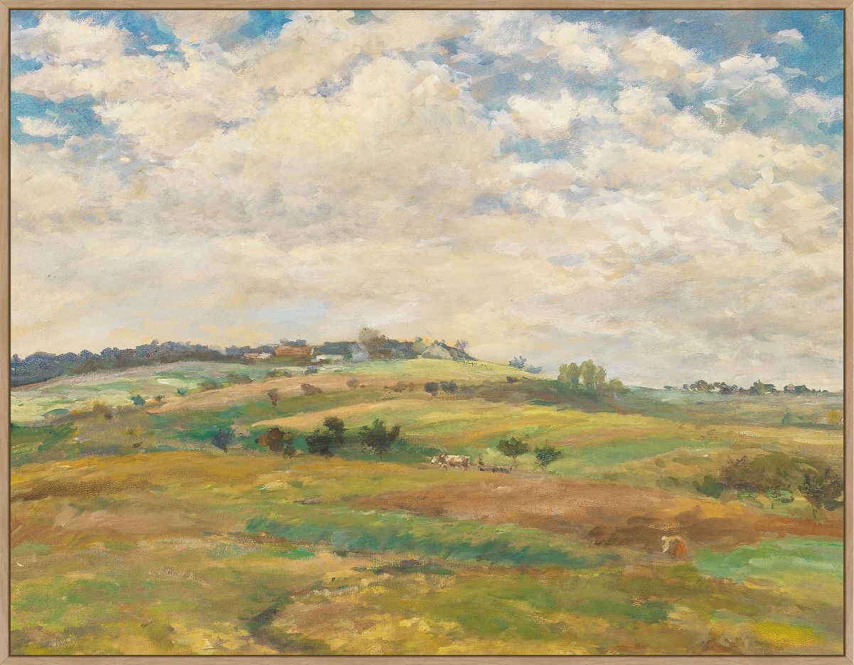 Pasture Landscape In The Summer Light  On Canvas