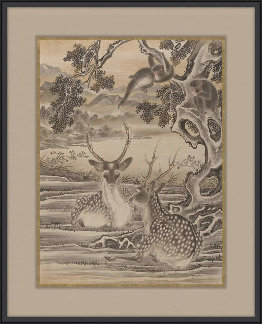 Deer And Monkey
