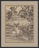 Deer And Monkey