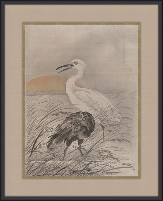 Cranes In A Marsh