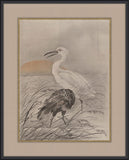 Cranes In A Marsh