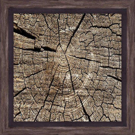 Chunks of wood  II