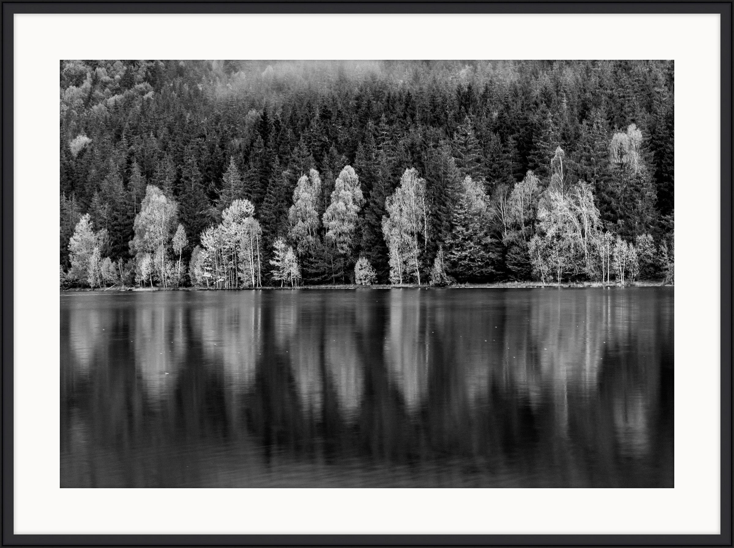 Reflections in Autumn, Forest Lake