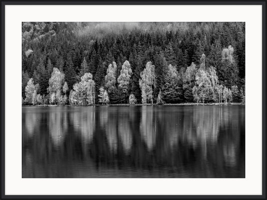 Reflections in Autumn, Forest Lake