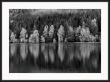 Reflections in Autumn, Forest Lake