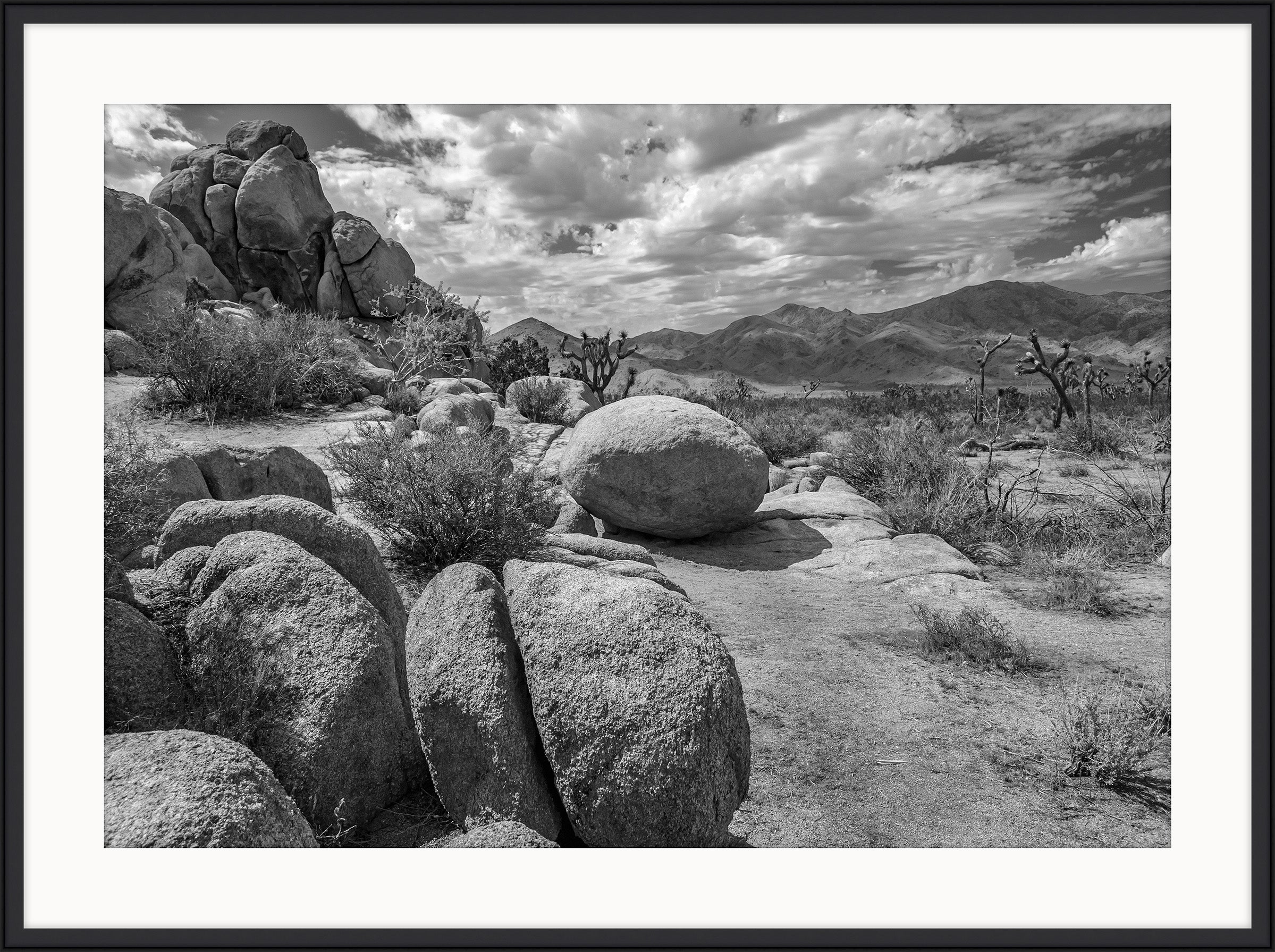 Joshua Tree