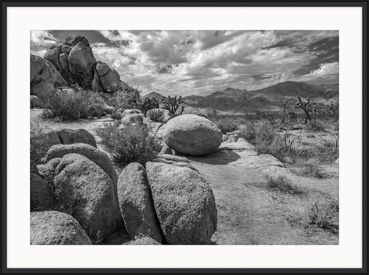 Joshua Tree