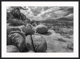 Joshua Tree