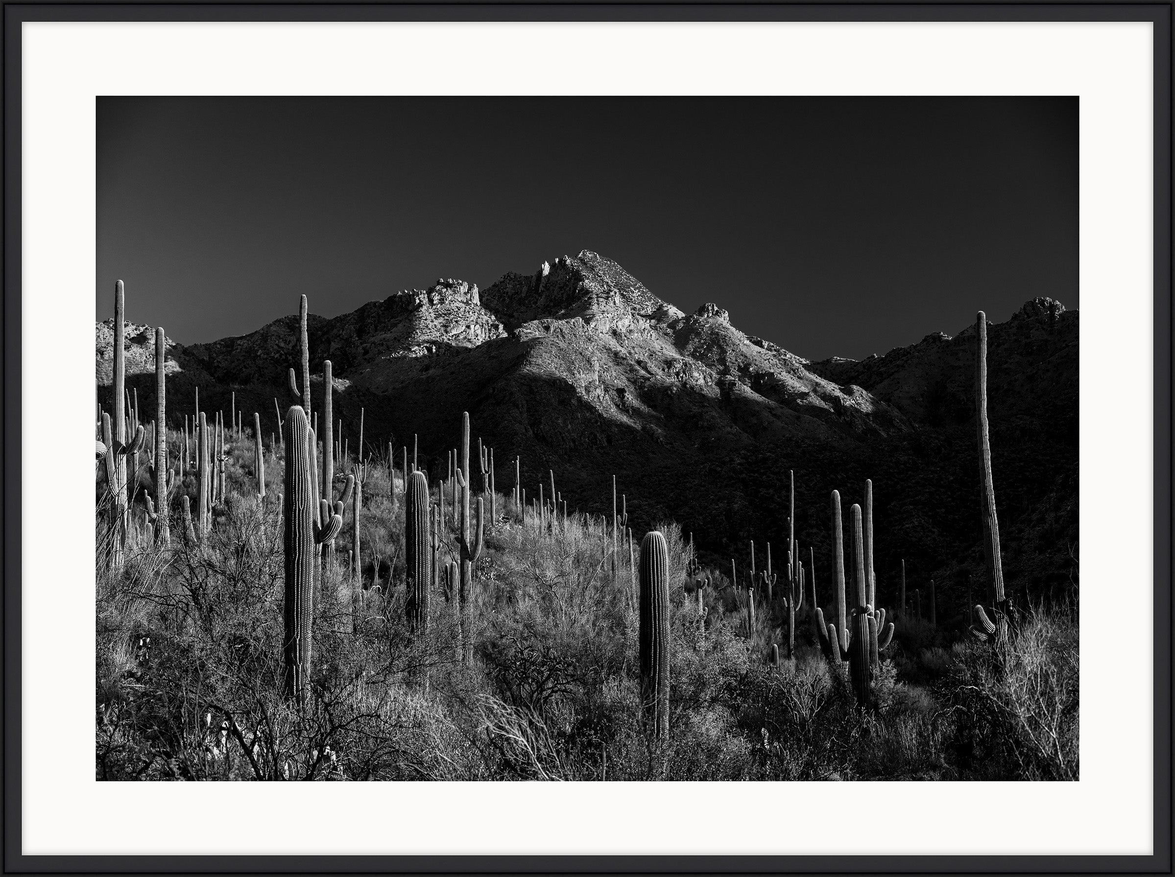 Sun Rise Warms, Sabino Canyon
