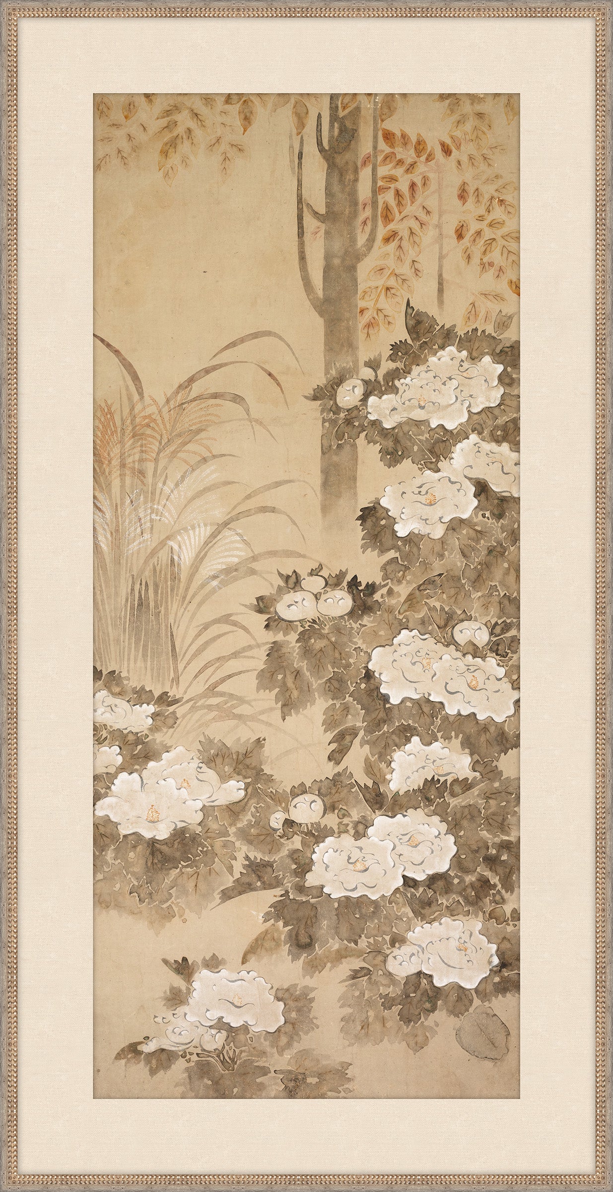 Peonies
